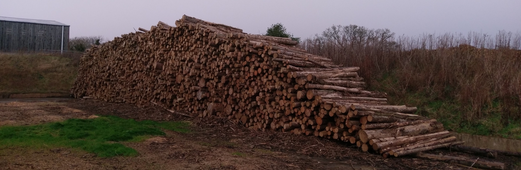 Stack of wooden logs with grey sky